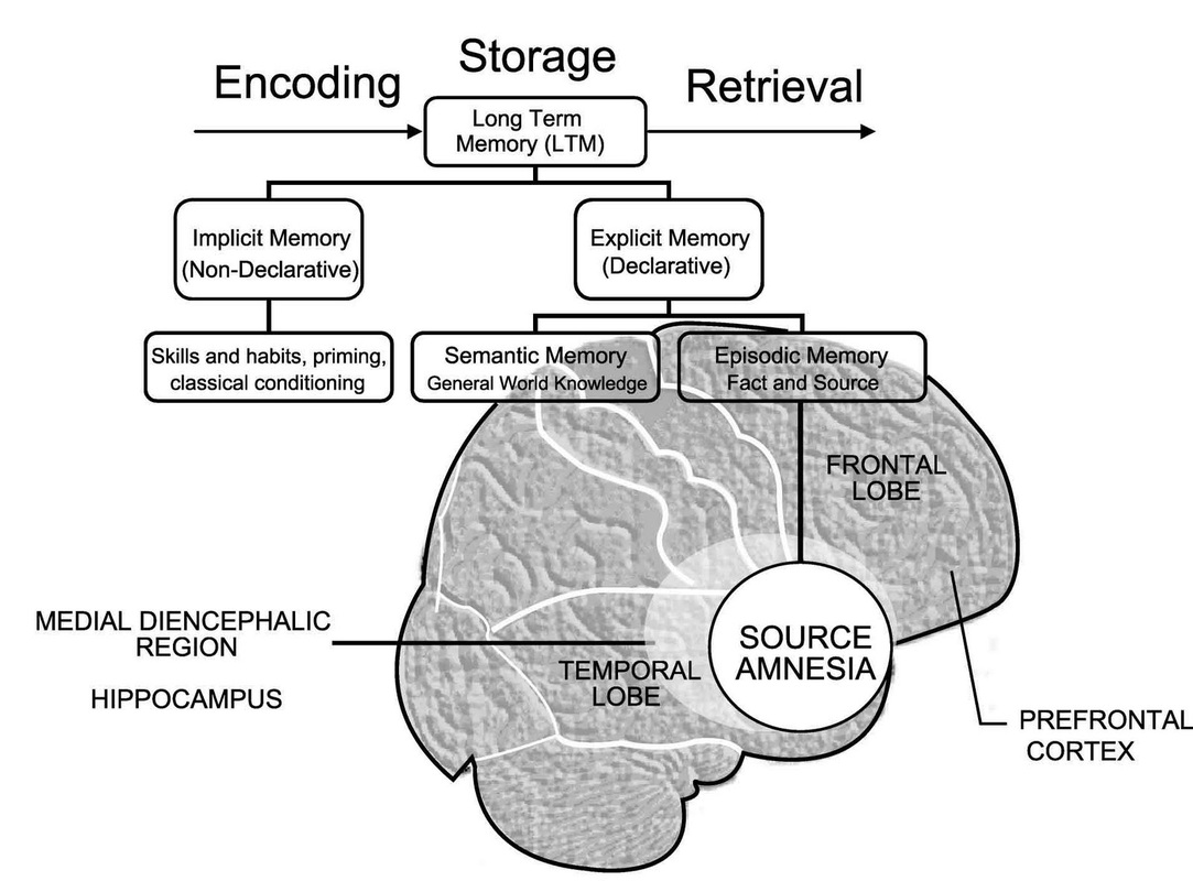 longterm retrograde vs anterograde amnesia
