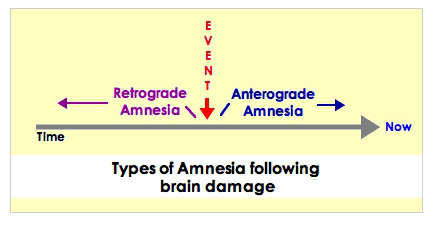 types of amnesia brain injury